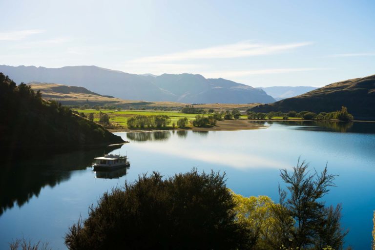 Imagen de Citogen Lab